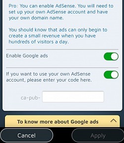 Saate oma Google Adsi oma Pro saidil aktiveerida.